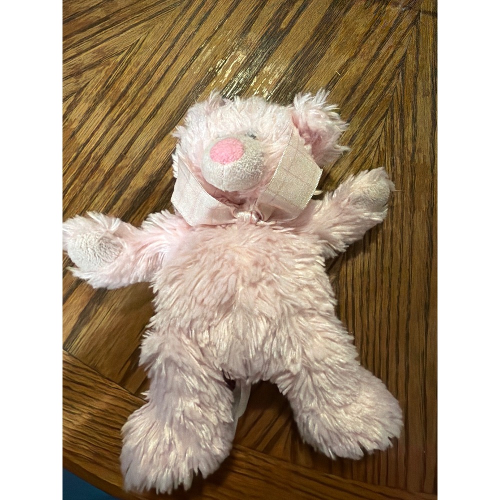 Baby Ganz Collection My First Teddy Pink Shaggy Plush Bear 9 Inch with Plaid Bow